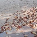 무지개체육관 이미지