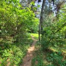 윤산둘레길(부산대역~장전역).25.5.27 이미지