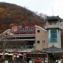 단풍두부 이미지