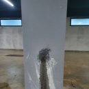 다뚜러 이미지