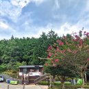 팔영산자연휴양림주차장 이미지