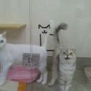 미소 동물병원 이미지