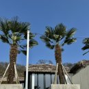 코스타리몬(costa limon) | [충남 공주 펜션] 코스타리몬 / 발리 감성 느낄 수 있는 독채 온수풀 신축 펜션 A동 후기