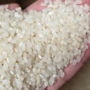 농산물쌀김치물류센타 | 여주쌀 맛있는쌀 추천 대왕님표여주쌀 진상미 쌀10kg 후기