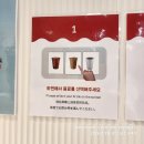 IMAGE 93 - | 🍲✨ 루프캣미 고양이카페 명동점 (사진 93장 이상)