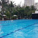 서수원로 이미지