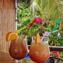 사우스 오아시스 | N회차 보홀여행 파밀라칸+사우스팜 포인트 프라이빗투어 예약 및 비용 정보