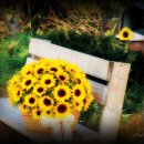 바닷가 숲속 이미지