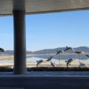 장동게이트볼장 이미지