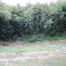 서재필박사 본가지 이미지