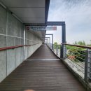 당산 자전거대여소 앞 | 당산 데이트 코스 추천 양화한강공원 장미터널 주말 산책 후기