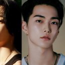 조선라이즈 이미지