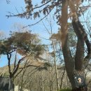 장안공단1길c | 부산 기장 정관 승마체험 바모스승마클럽 승마레슨 후기