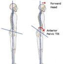 프로 팰리스 짐 이미지