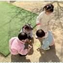 동구청어린이집 이미지