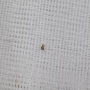 미래동물의료센터 이미지