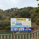 뿌리공원 | 대전 중구 아기랑 갈 만한 곳 | 뿌리공원 오리배 체험 후기