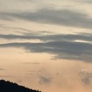 기차여행독채펜션 | 정동진 숙소 감성 넘치는 “스테이 정동” | 4인가족 강릉 독채펜션 힐링여행 후기