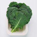 와이비짐 이미지