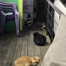 씨유방화또오기점 이미지