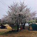 반딧불자연캠핑장 이미지