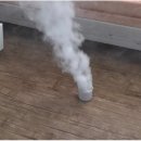 영진축산 | 고시원 빈대 2주만에 퇴치한 후기