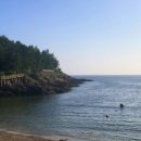 무화과민박 이미지