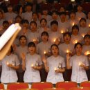 안녕 나이팅게일 이미지