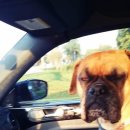 길동물병원 이미지