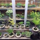 무봉산장 이미지