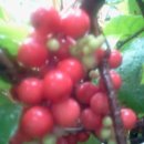 유경농장 이미지