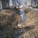 새매개천 이미지