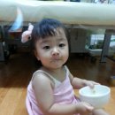 해보 Daum카페