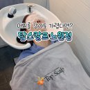 생명나무두피프렌즈 | 노원 헤드스파 | 극락 그 자체였던 탑스칼프 노원점 두피관리 후기