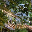 자연치유한의원 이미지