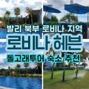 발리호텔 | 발리 로비나 호텔 추천ㅣ 로비나 헤븐 호텔 후기 발리북부 여행 숙소