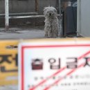 진인사