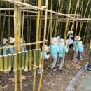 승원어린이집 이미지