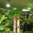 (주)해피나무 이미지