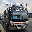동부산악권 투어 2 | 제주도 버스투어 동부 코스 트립이즈마인 휴애리 유채꽃 동백꽃