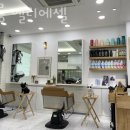 살롱엘리에셀