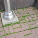 호텔리베라서울 이미지