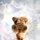 뭉개뭉개 이미지