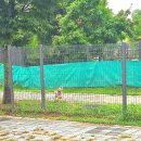 평택시 농업생태원 방문자센터 이미지