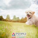 미래동물병원(산업동물진료) 이미지