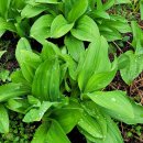 대청농장 이미지