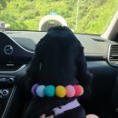 여수 애견동반 숙소 안단테 - 오션뷰 스파 펜션 강아지랑 3박 후기