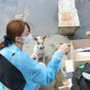 댕그라미