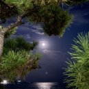 송정 | [송정맛집추천] 해산물 가득 송정물총칼국수&amp;송정파전 후기