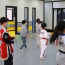 경희대 히어로즈 태권도장 이미지